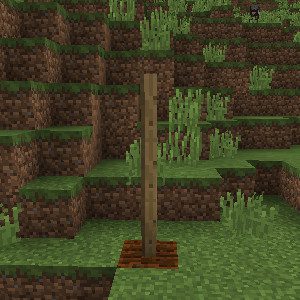 Rustic Mod 1.12.2, 1.11.2 (Medieval-Themed Features) 27