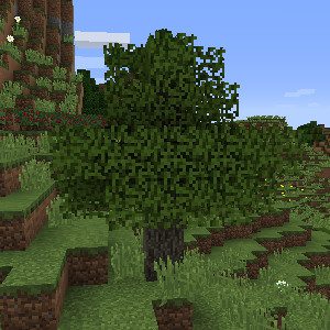 Rustic Mod 1.12.2, 1.11.2 (Medieval-Themed Features) 28