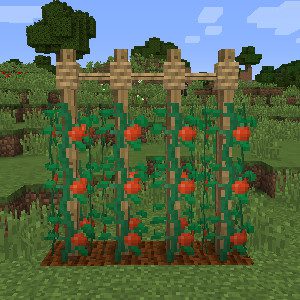 Rustic Mod 1.12.2, 1.11.2 (Medieval-Themed Features) 30