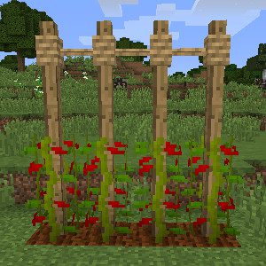 Rustic Mod 1.12.2, 1.11.2 (Medieval-Themed Features) 31