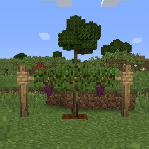 Rustic Mod 1.12.2, 1.11.2 (Medieval-Themed Features) 33