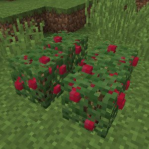 Rustic Mod 1.12.2, 1.11.2 (Medieval-Themed Features) 34