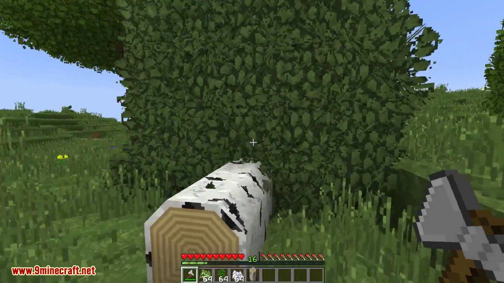 Chop Down Updated Mod (1.12.2, 1.11.2) - Realistic Tree Chopping 7