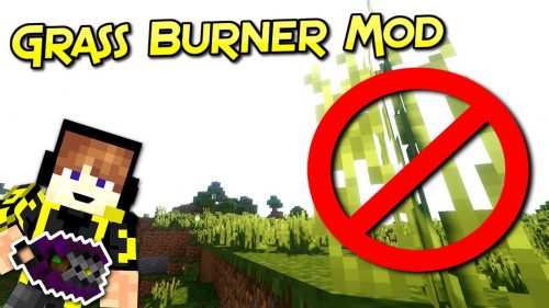 Grass Burner Mod 1.12, 1.11.2 (Remove Grass in a 30×30 Area Without Drops) Thumbnail