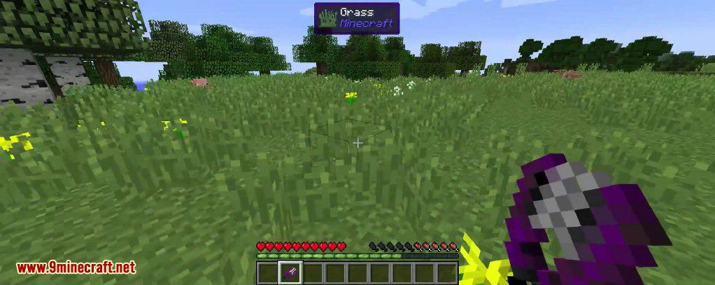 Grass Burner Mod 1.12, 1.11.2 (Remove Grass in a 30x30 Area Without Drops) 2