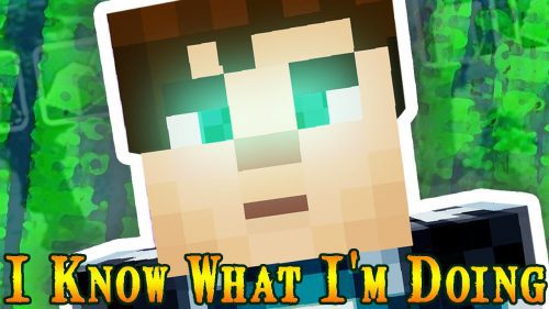 I Know What I’m Doing Mod (1.19.3, 1.18.2) – IKWID Mod Thumbnail