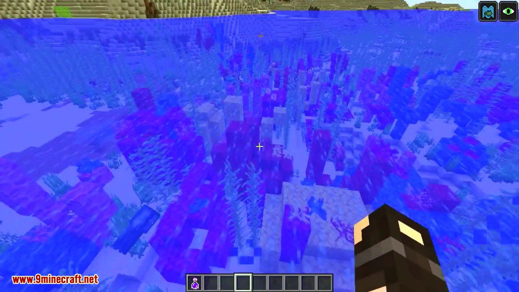 Minecraft 1.13 Snapshot 18w10d (Coral Reefs Added) 6