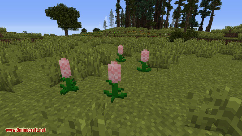 Plants Mod (1.12.2, 1.11.2) - Experience the Natural World 11