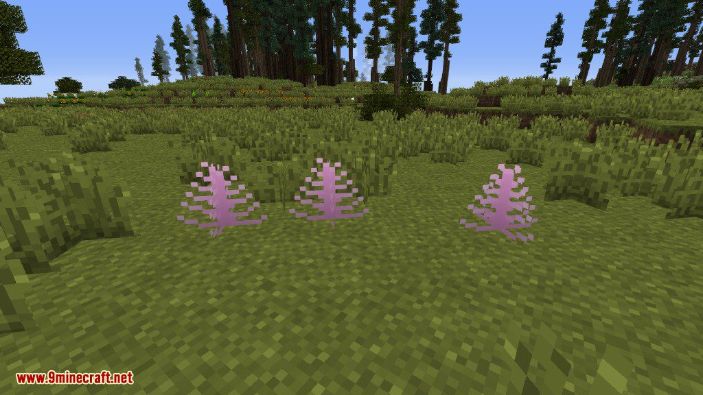 Plants Mod (1.12.2, 1.11.2) - Experience the Natural World 12