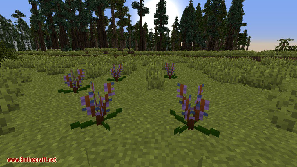 Plants Mod (1.12.2, 1.11.2) - Experience the Natural World 13