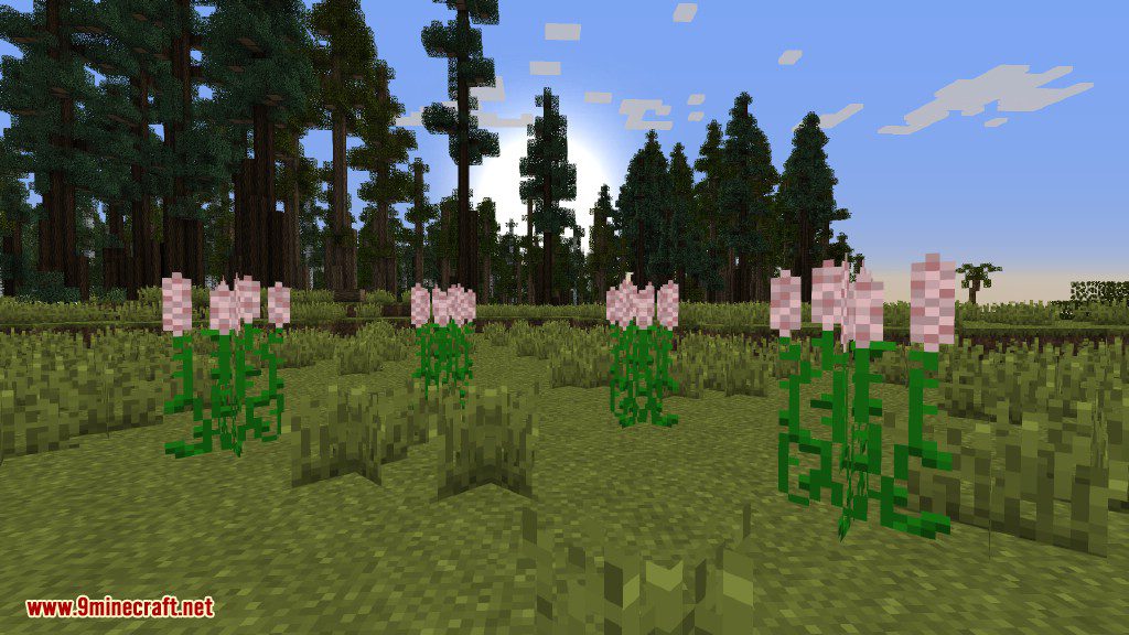 Plants Mod (1.12.2, 1.11.2) - Experience the Natural World 14