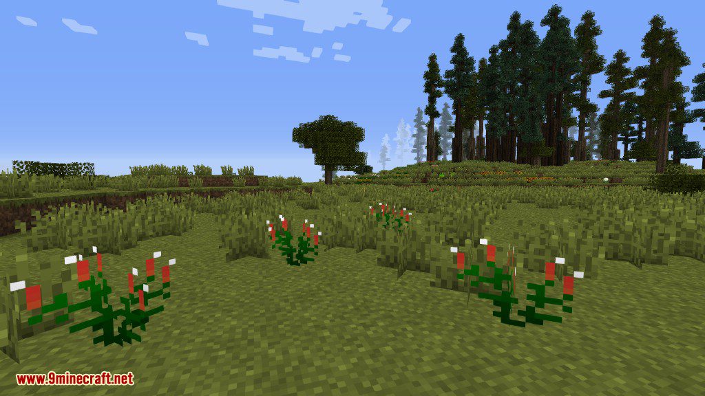 Plants Mod (1.12.2, 1.11.2) - Experience the Natural World 15