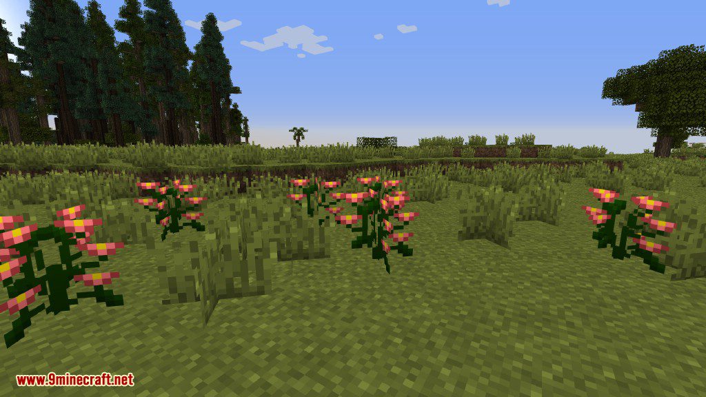 Plants Mod (1.12.2, 1.11.2) - Experience the Natural World 16