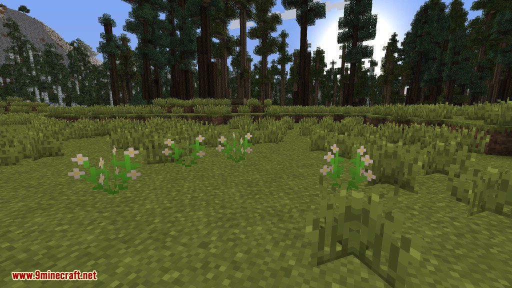 Plants Mod (1.12.2, 1.11.2) - Experience the Natural World 17