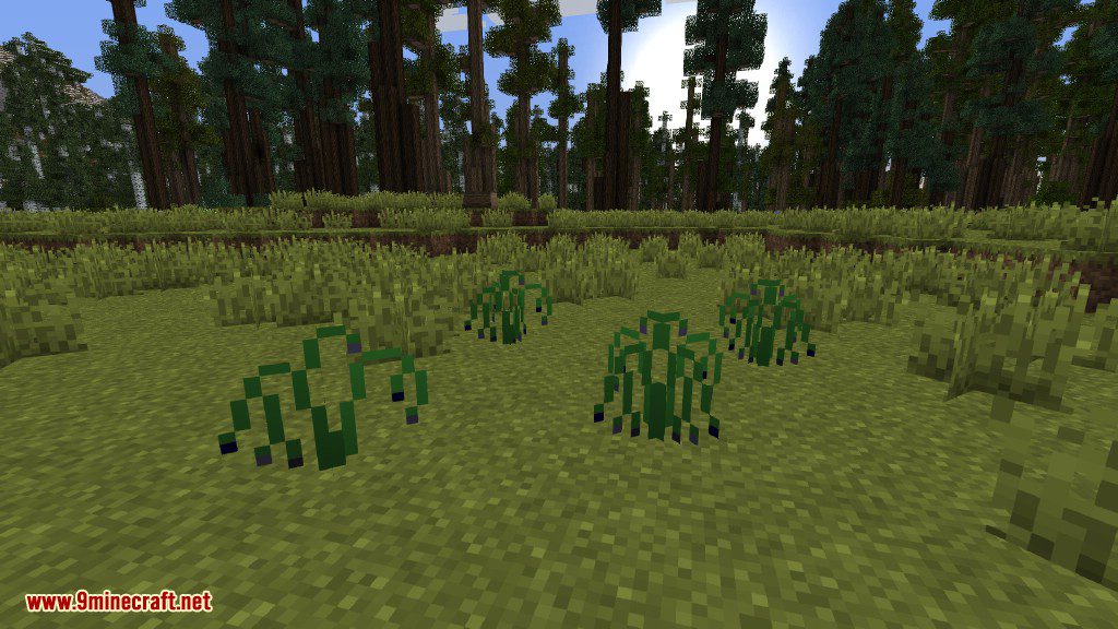 Plants Mod (1.12.2, 1.11.2) - Experience the Natural World 18