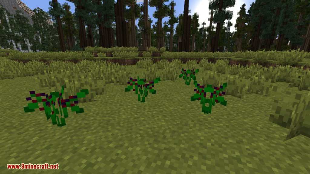 Plants Mod (1.12.2, 1.11.2) - Experience the Natural World 19