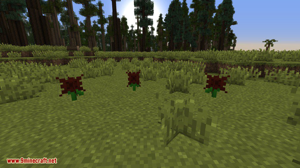 Plants Mod (1.12.2, 1.11.2) - Experience the Natural World 20