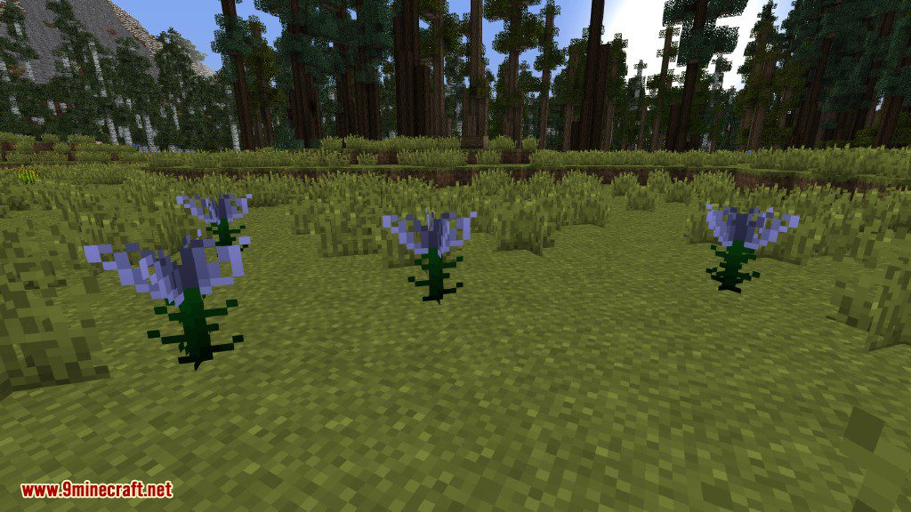 Plants Mod (1.12.2, 1.11.2) - Experience the Natural World 3