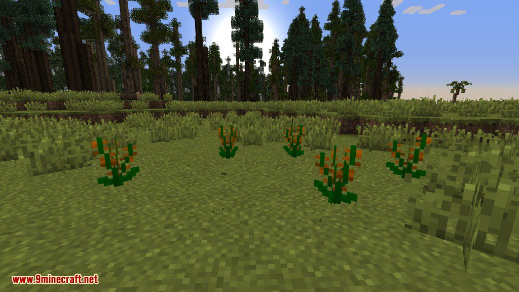 Plants Mod (1.12.2, 1.11.2) - Experience the Natural World 21