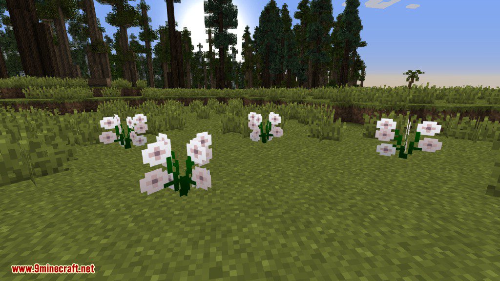 Plants Mod (1.12.2, 1.11.2) - Experience the Natural World 22