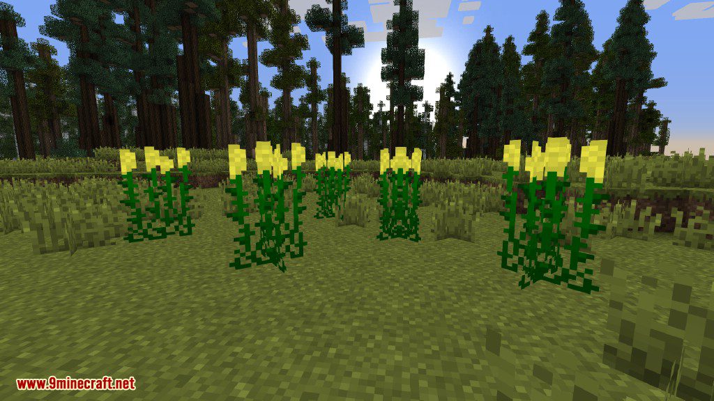 Plants Mod (1.12.2, 1.11.2) - Experience the Natural World 23