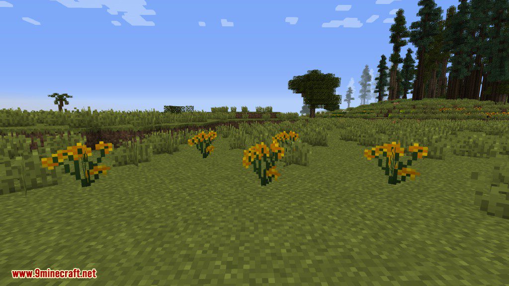 Plants Mod (1.12.2, 1.11.2) - Experience the Natural World 24