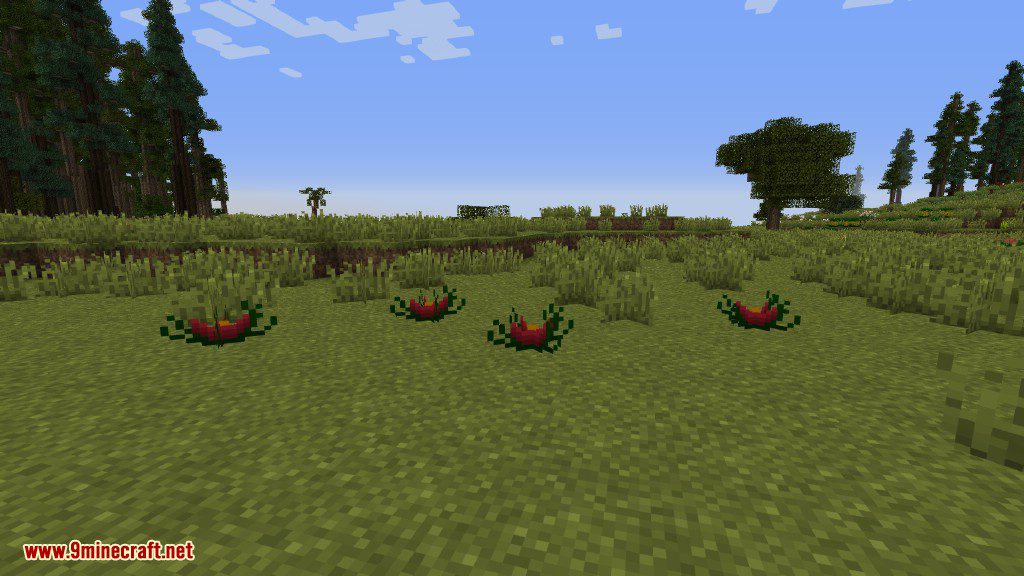 Plants Mod (1.12.2, 1.11.2) - Experience the Natural World 26