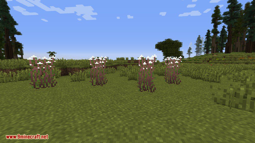 Plants Mod (1.12.2, 1.11.2) - Experience the Natural World 27