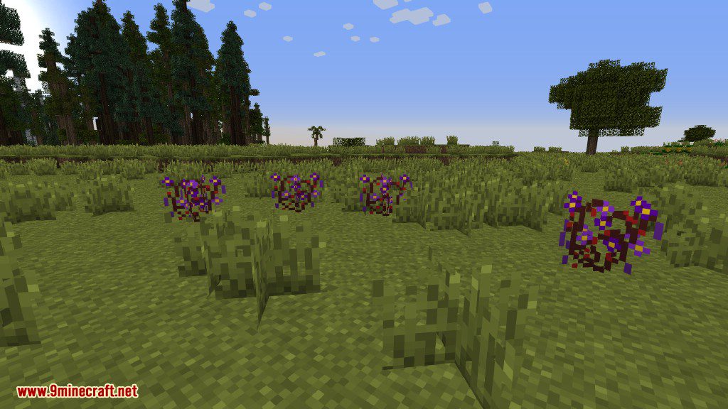 Plants Mod (1.12.2, 1.11.2) - Experience the Natural World 29