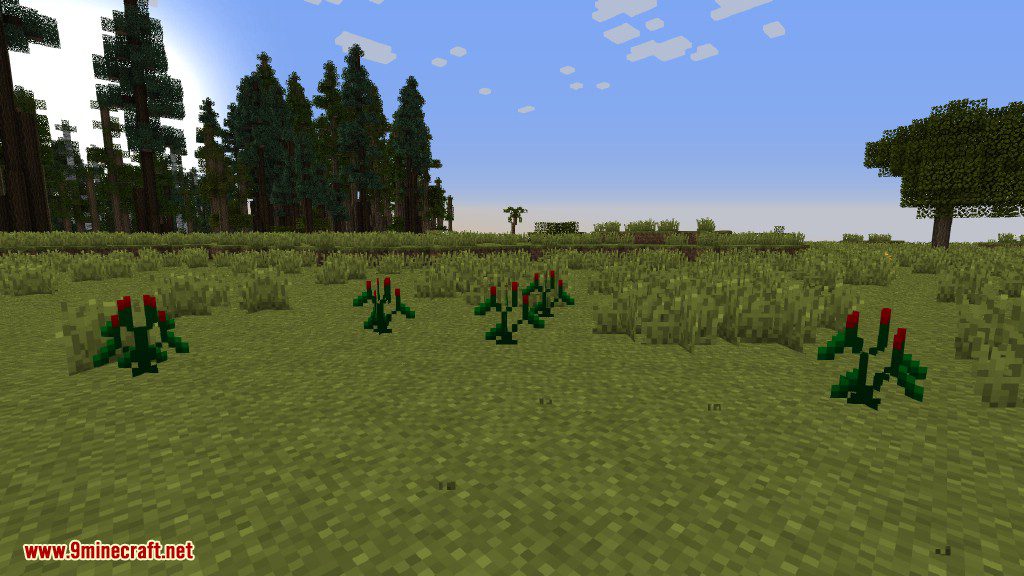 Plants Mod (1.12.2, 1.11.2) - Experience the Natural World 30