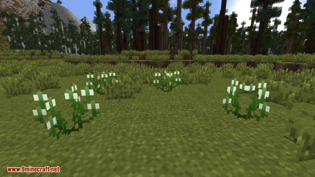 Plants Mod (1.12.2, 1.11.2) - Experience the Natural World 4