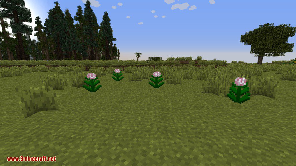 Plants Mod (1.12.2, 1.11.2) - Experience the Natural World 31