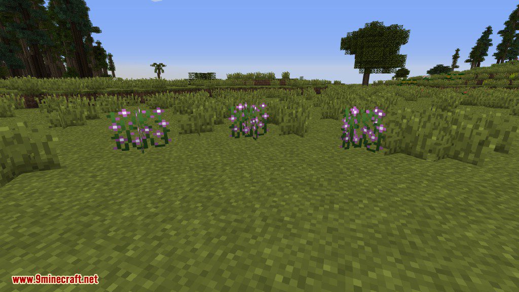 Plants Mod (1.12.2, 1.11.2) - Experience the Natural World 32