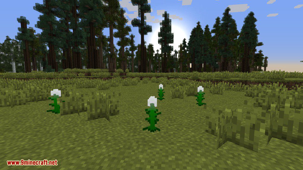 Plants Mod (1.12.2, 1.11.2) - Experience the Natural World 33