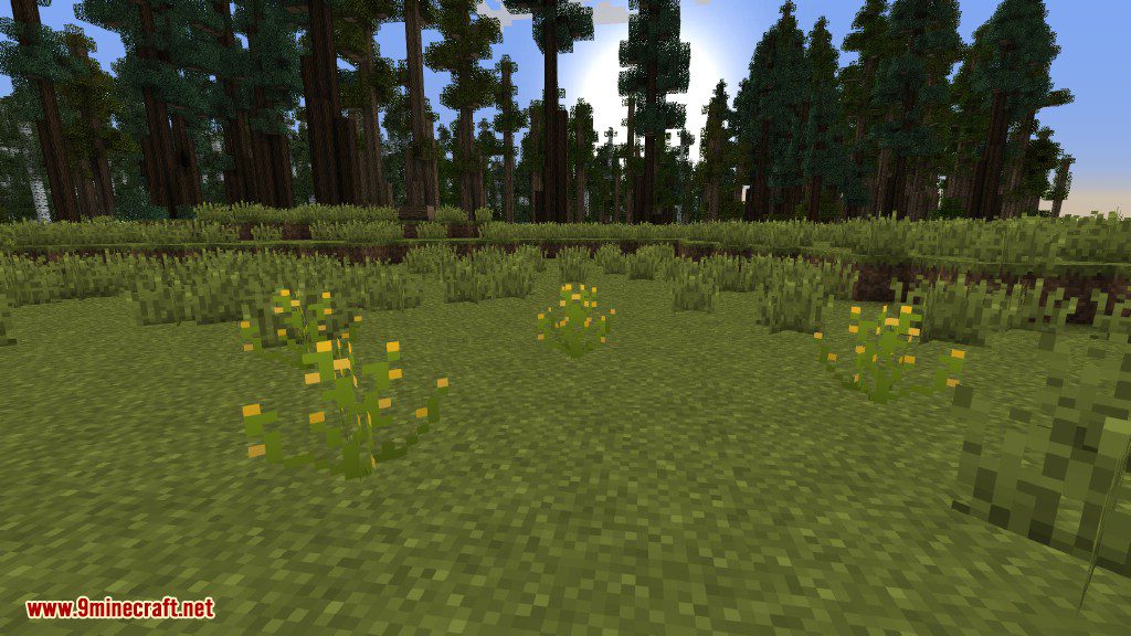 Plants Mod (1.12.2, 1.11.2) - Experience the Natural World 34