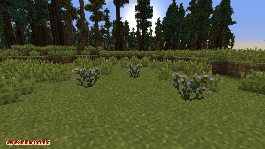 Plants Mod (1.12.2, 1.11.2) - Experience the Natural World 35