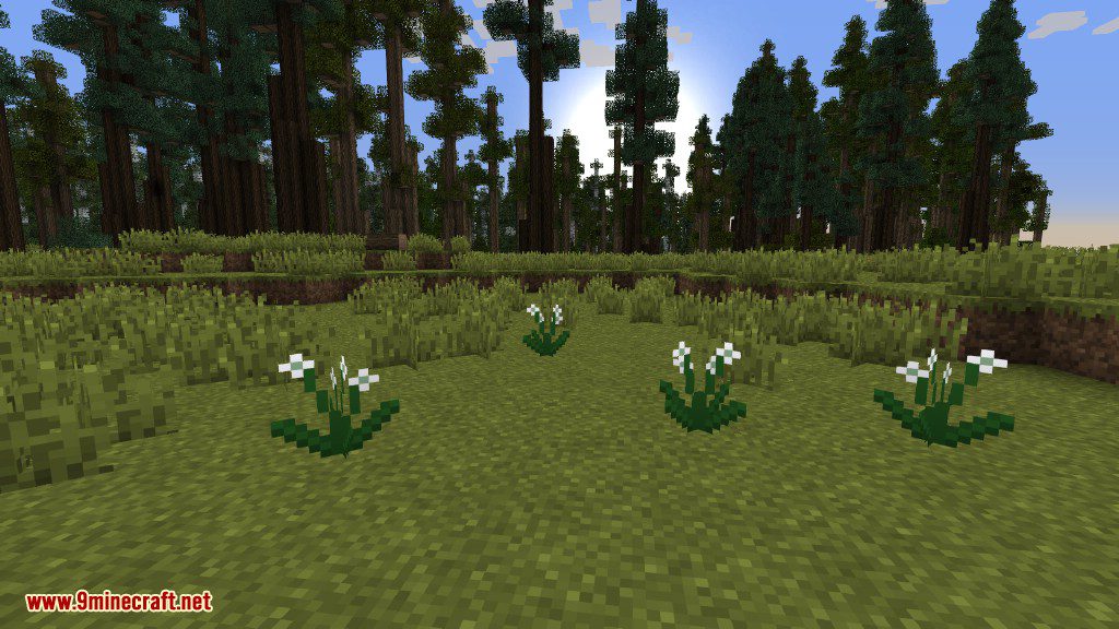 Plants Mod (1.12.2, 1.11.2) - Experience the Natural World 36