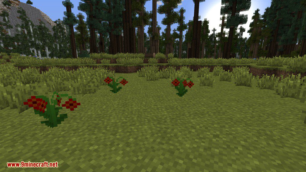 Plants Mod (1.12.2, 1.11.2) - Experience the Natural World 37