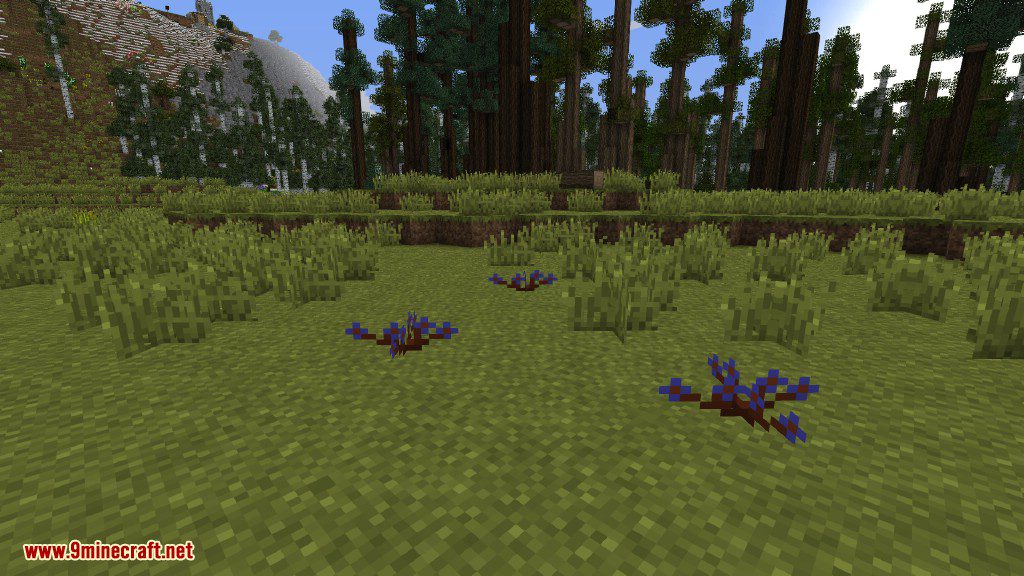 Plants Mod (1.12.2, 1.11.2) - Experience the Natural World 39