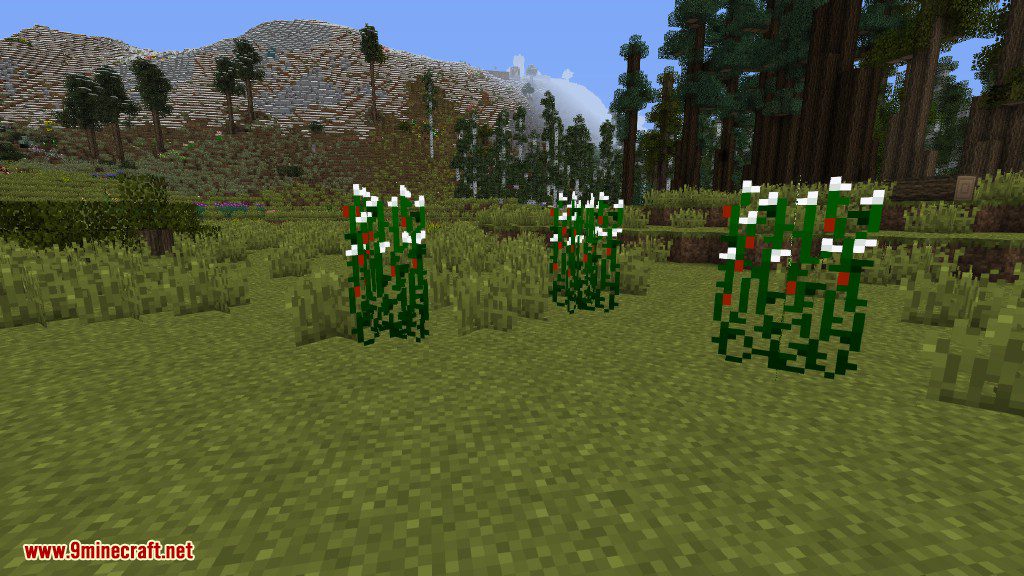 Plants Mod (1.12.2, 1.11.2) - Experience the Natural World 40