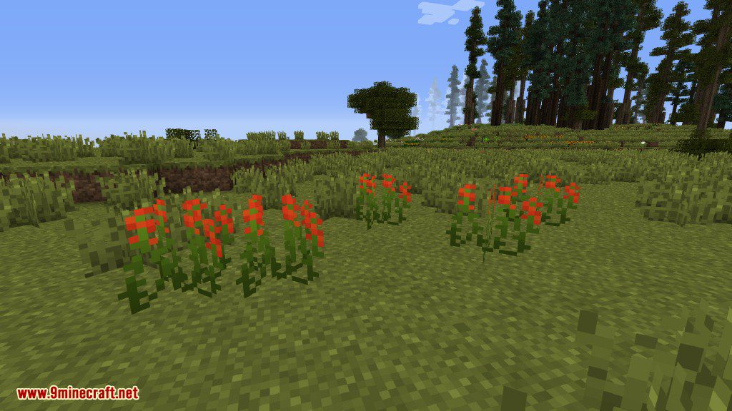 Plants Mod (1.12.2, 1.11.2) - Experience the Natural World 5