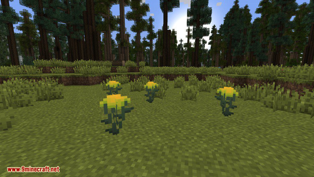 Plants Mod (1.12.2, 1.11.2) - Experience the Natural World 42