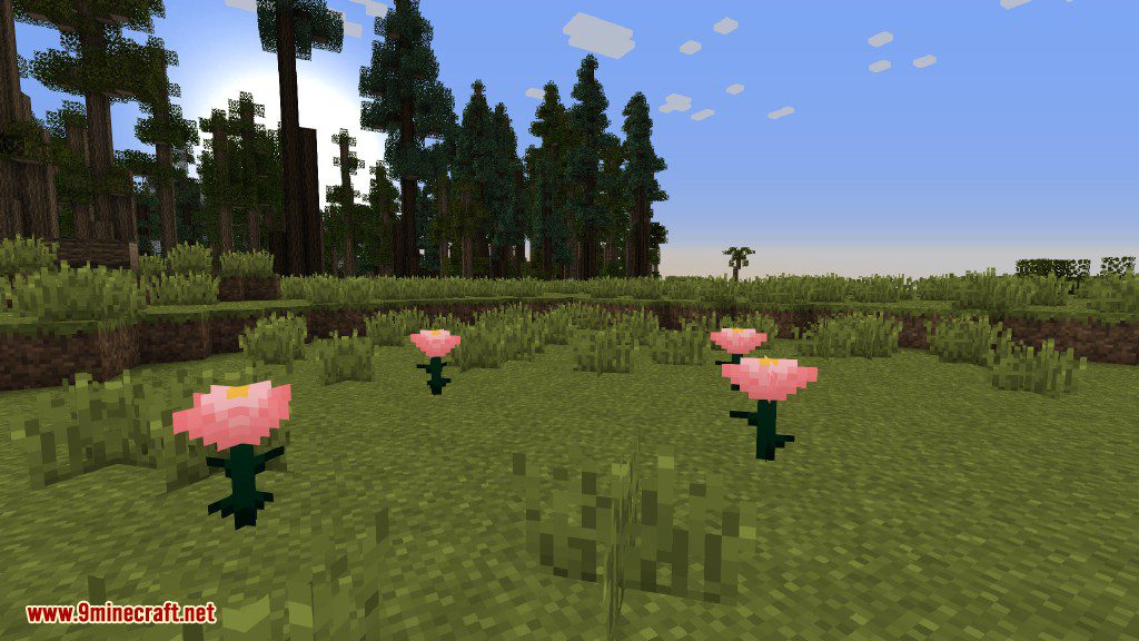 Plants Mod (1.12.2, 1.11.2) - Experience the Natural World 43