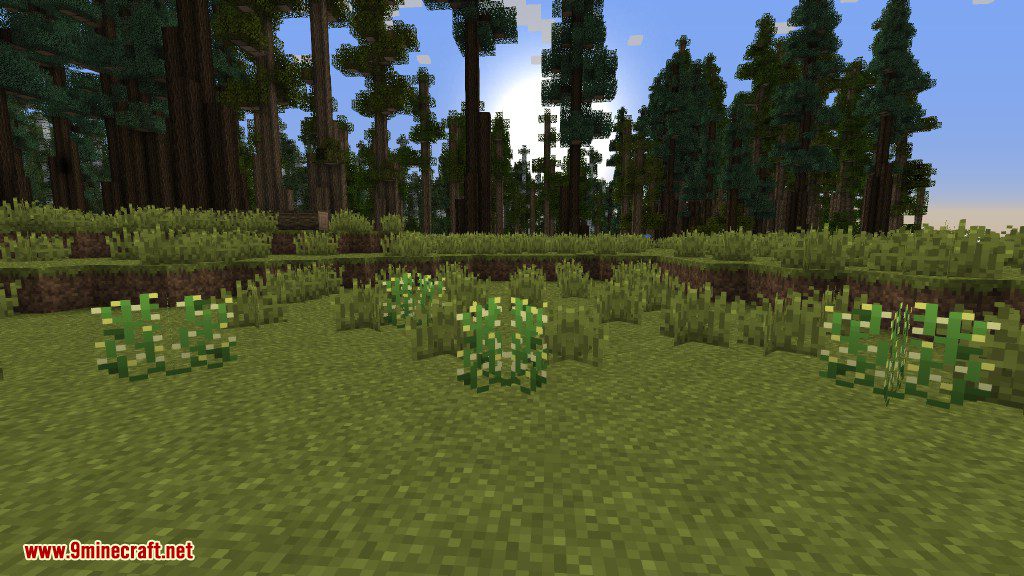 Plants Mod (1.12.2, 1.11.2) - Experience the Natural World 45