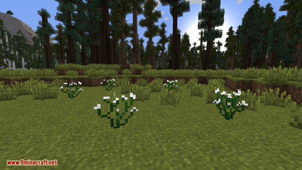 Plants Mod (1.12.2, 1.11.2) - Experience the Natural World 46