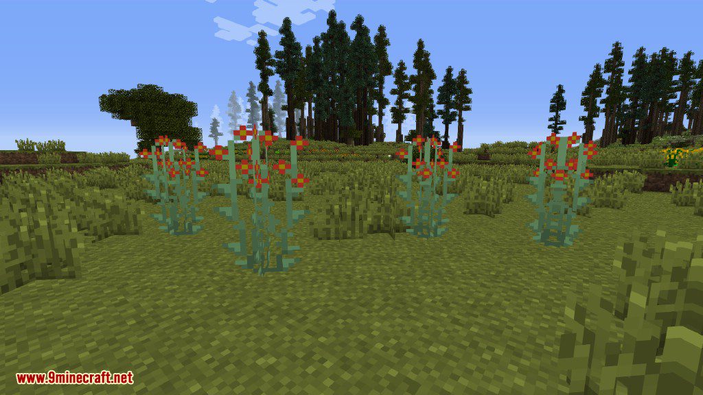 Plants Mod (1.12.2, 1.11.2) - Experience the Natural World 6