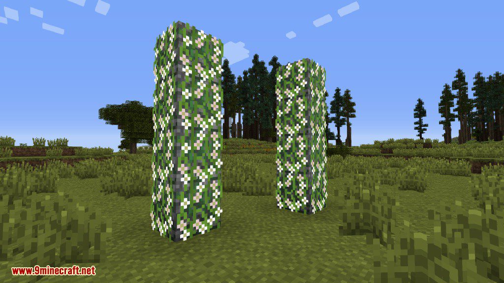 Plants Mod (1.12.2, 1.11.2) - Experience the Natural World 7