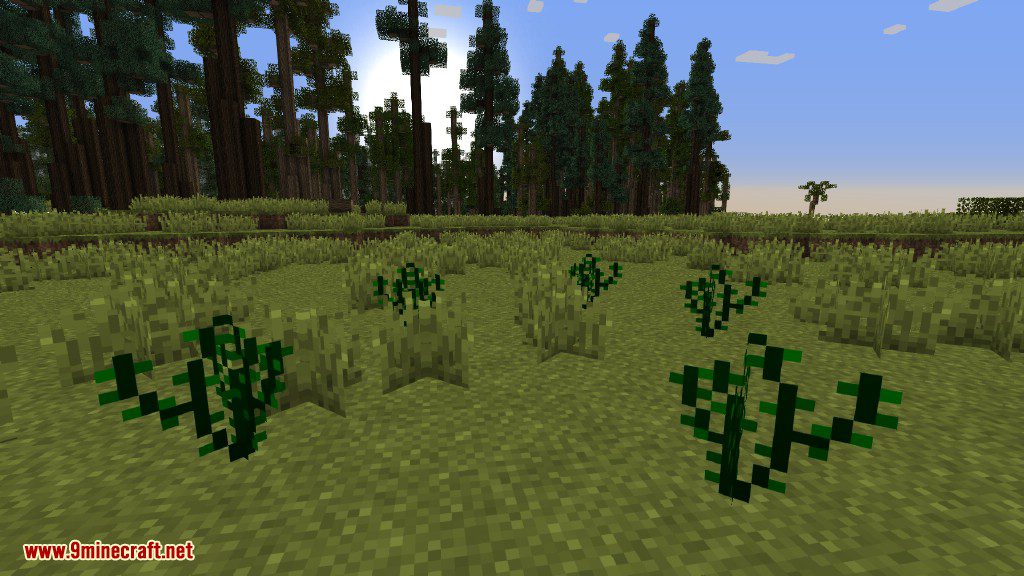 Plants Mod (1.12.2, 1.11.2) - Experience the Natural World 8