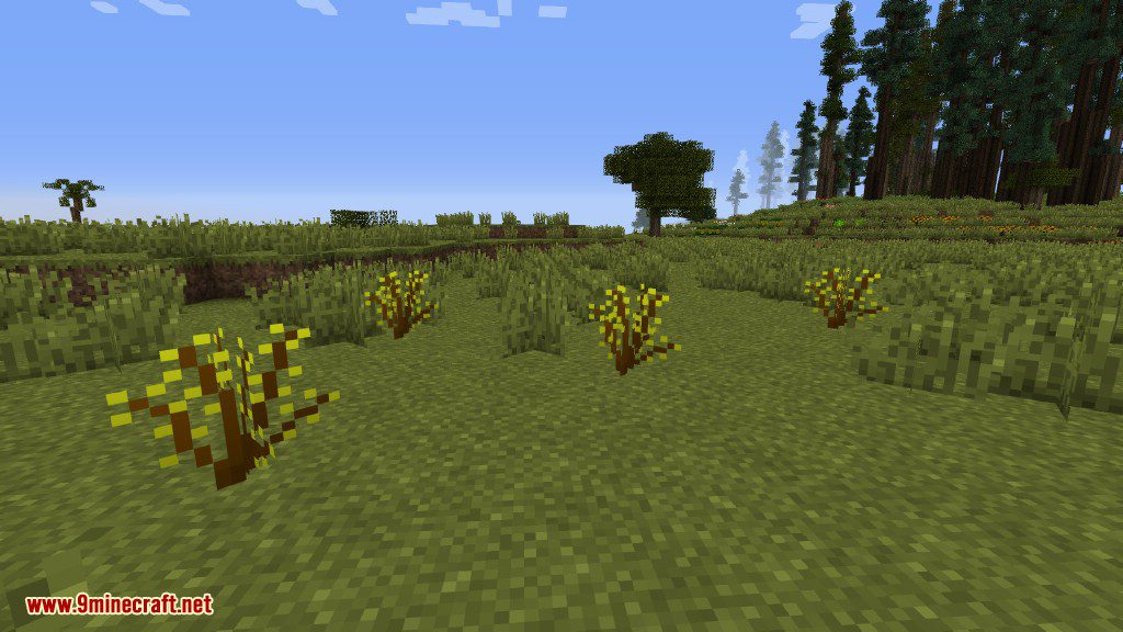 Plants Mod (1.12.2, 1.11.2) - Experience the Natural World 9