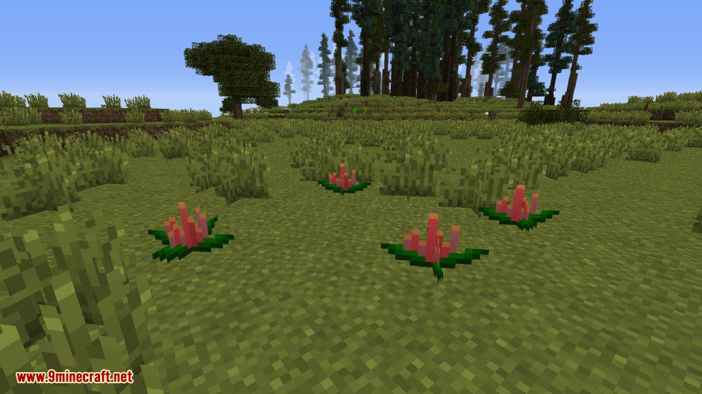 Plants Mod (1.12.2, 1.11.2) - Experience the Natural World 10